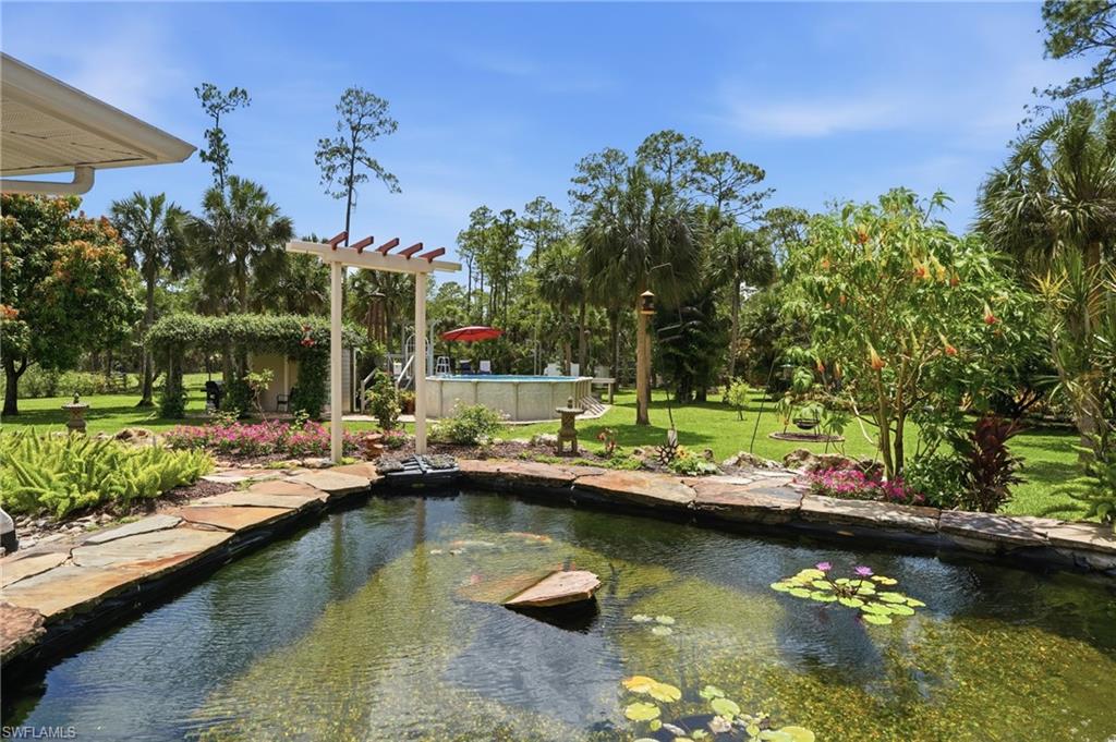 Koi Pond