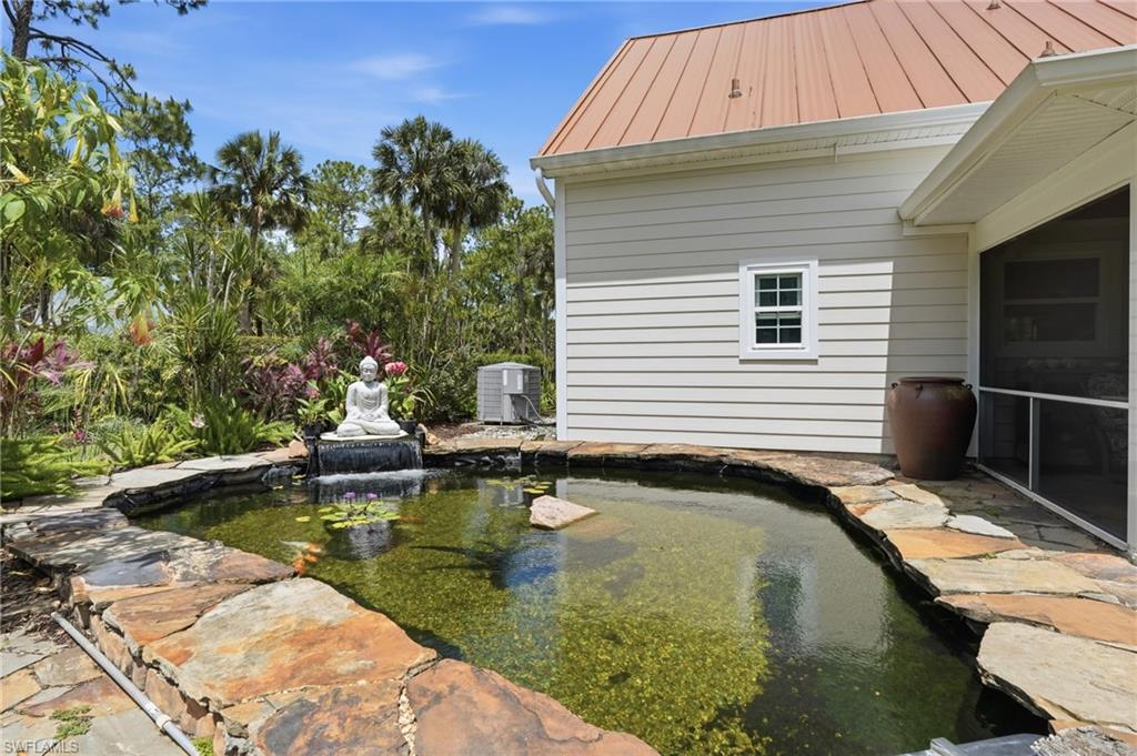 Koi Pond