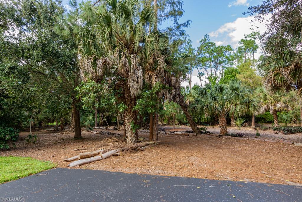 2103 Tama CIR 101 photo 35