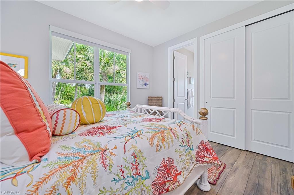 Bright room featuring a large window, wood-finish flooring, white sliding closet doors, and a ceiling fan