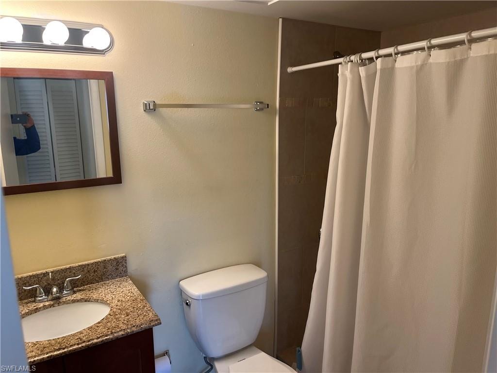 Full bathroom with toilet, vanity, and a shower with shower curtain