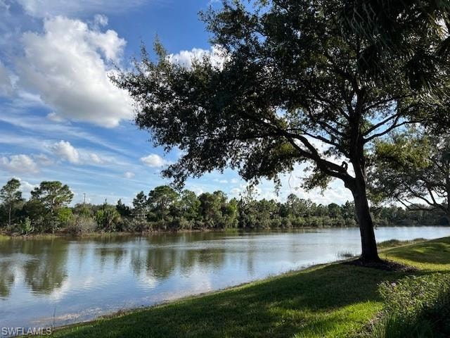 Peaceful Lake View