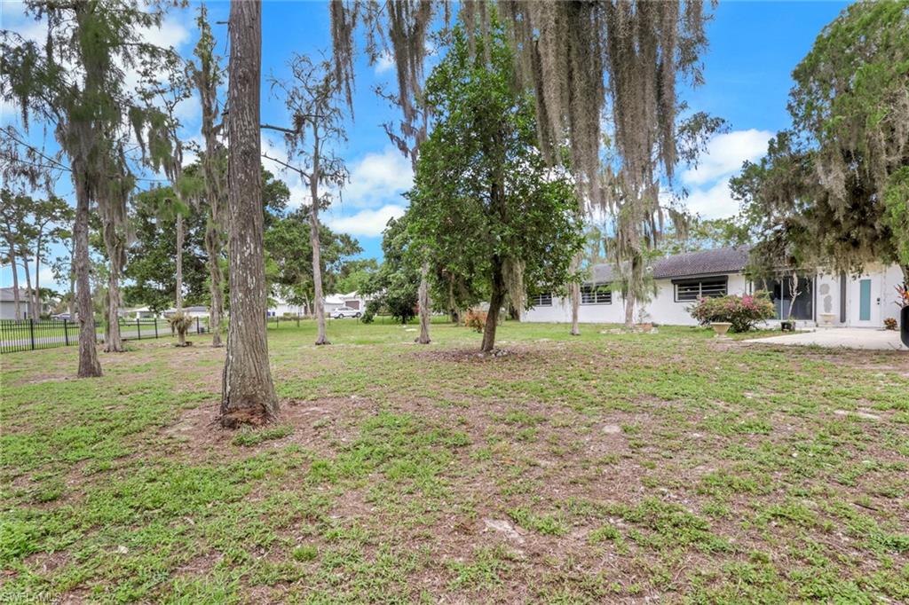 Spacious front yard featuring mature trees and a manicured lawn