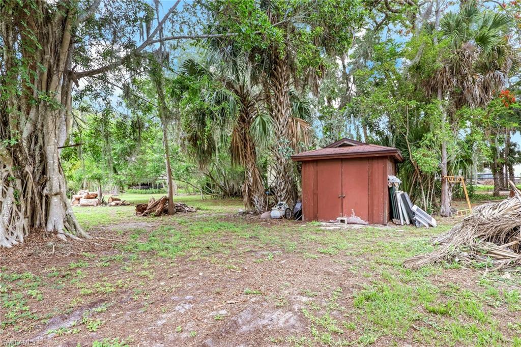 Spacious lot with mature trees, including a large banyan tree with prominent root structure and palm trees