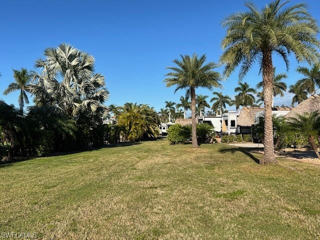 10232 Meadow Beauty TRL photo 36