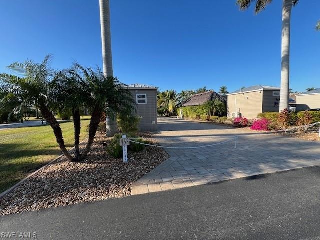 10232 Meadow Beauty TRL