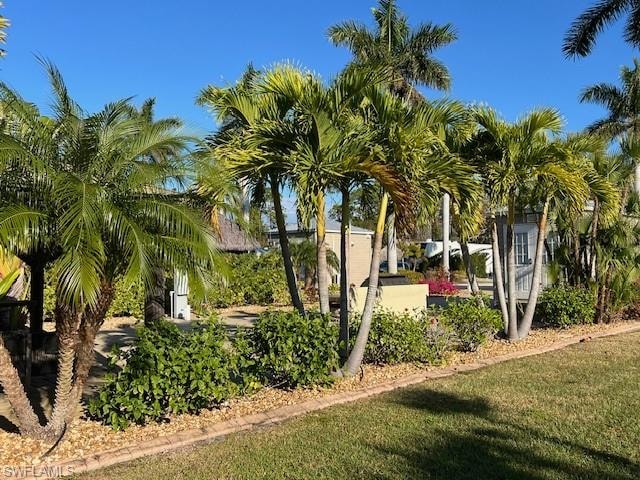 10232 Meadow Beauty TRL photo 38