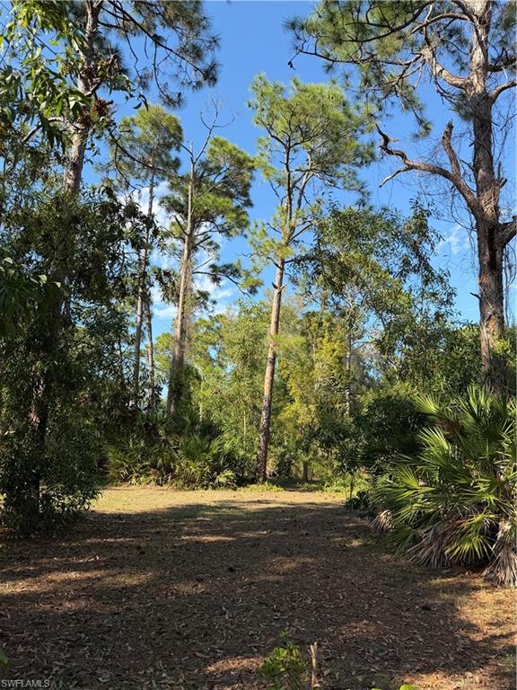 17090 shady grove ln photo 6