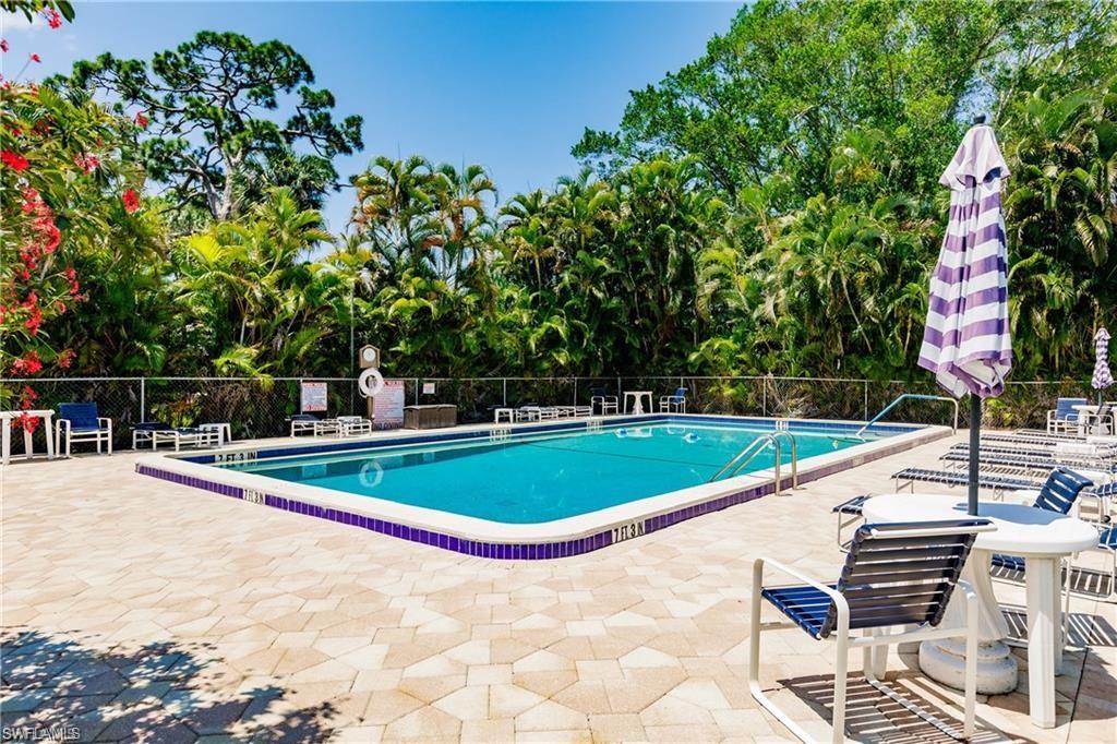 Rectangular swimming pool with a blue tiled interior, surrounded by a paver deck and lush tropical landscaping