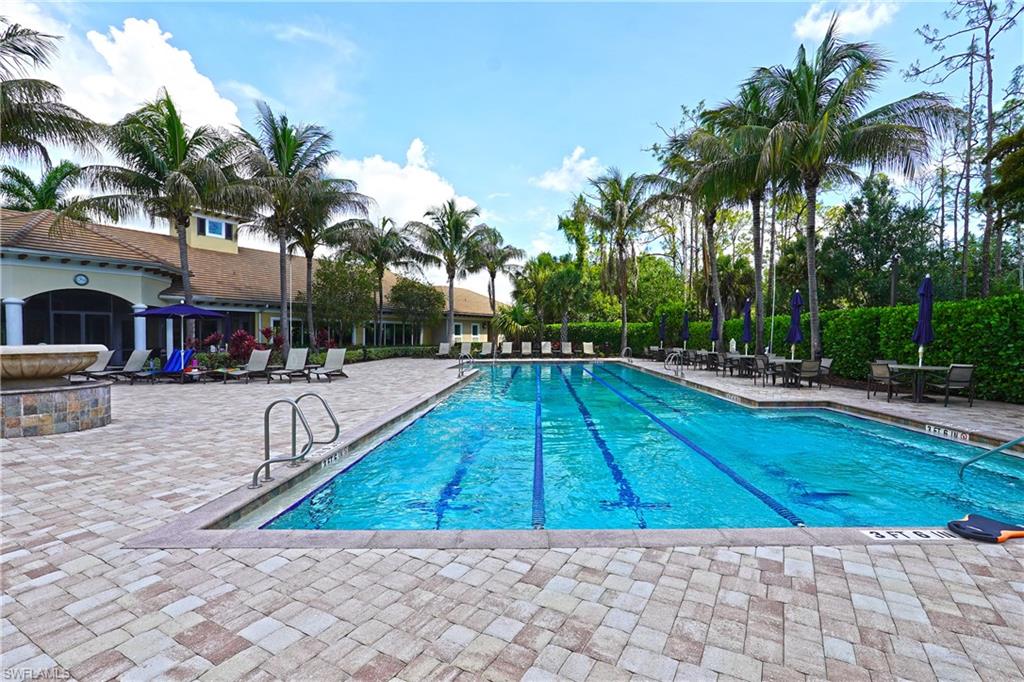 Lap Pool