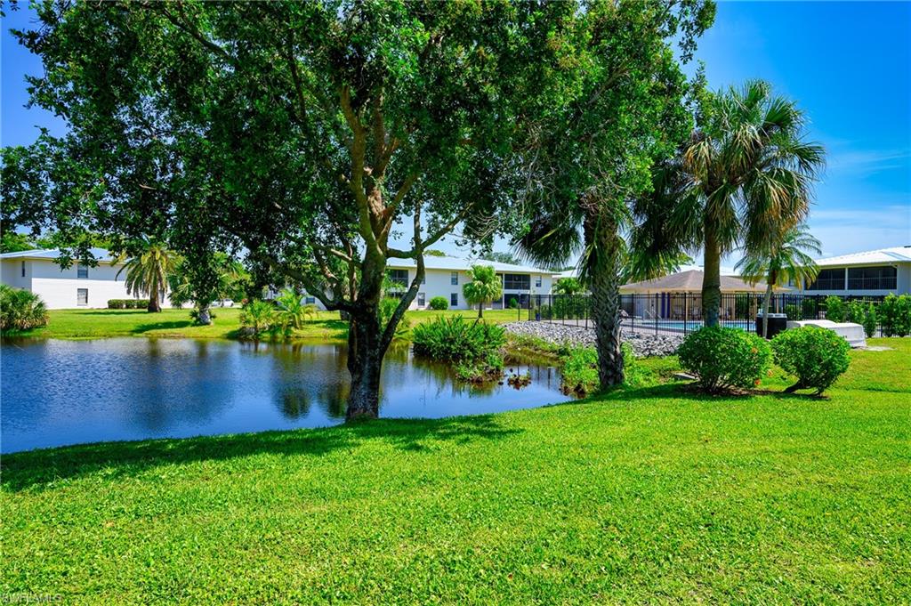 135 Cypress WAY E C photo 31