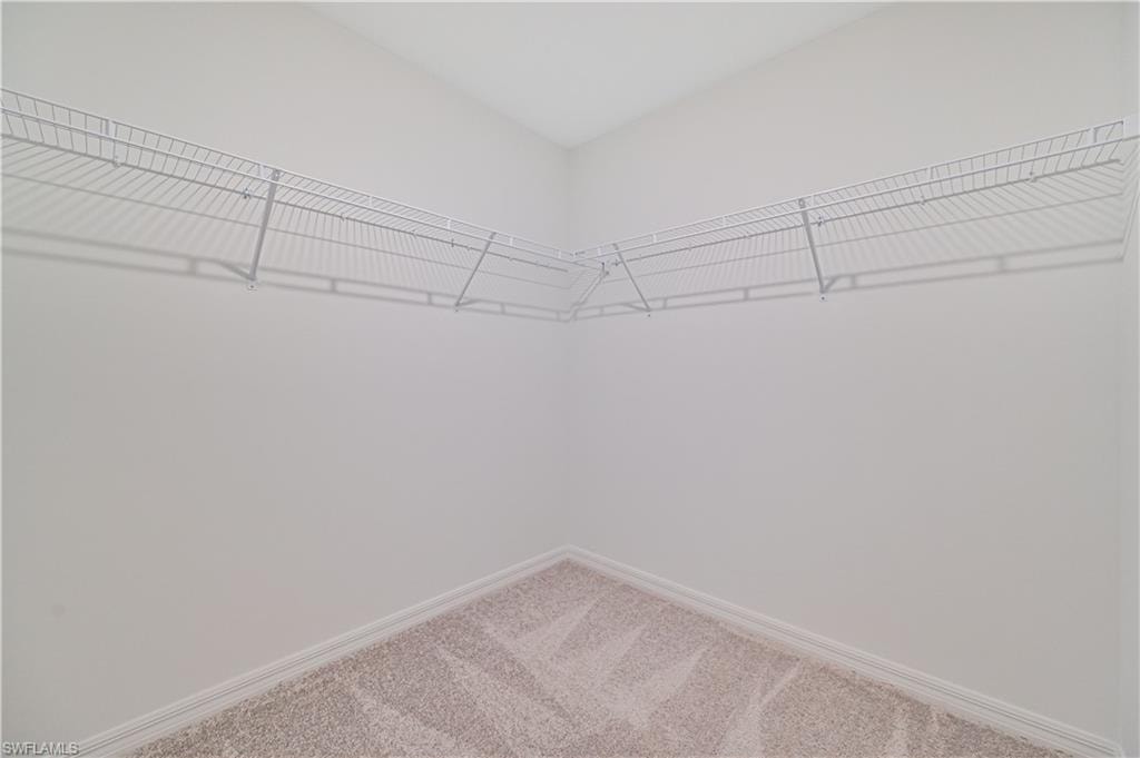 Spacious closet with carpet floors