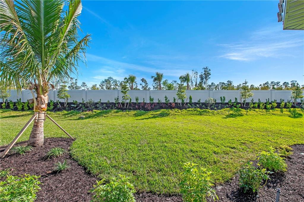 17471 Caravita Lane LN photo 24