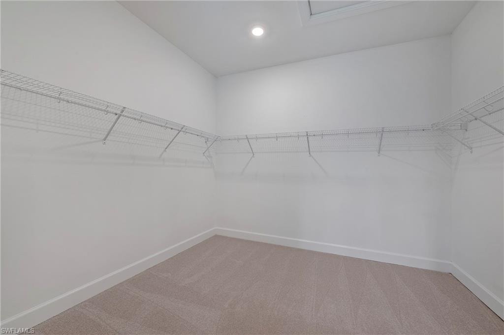 17471 Caravita Lane LN photo 18