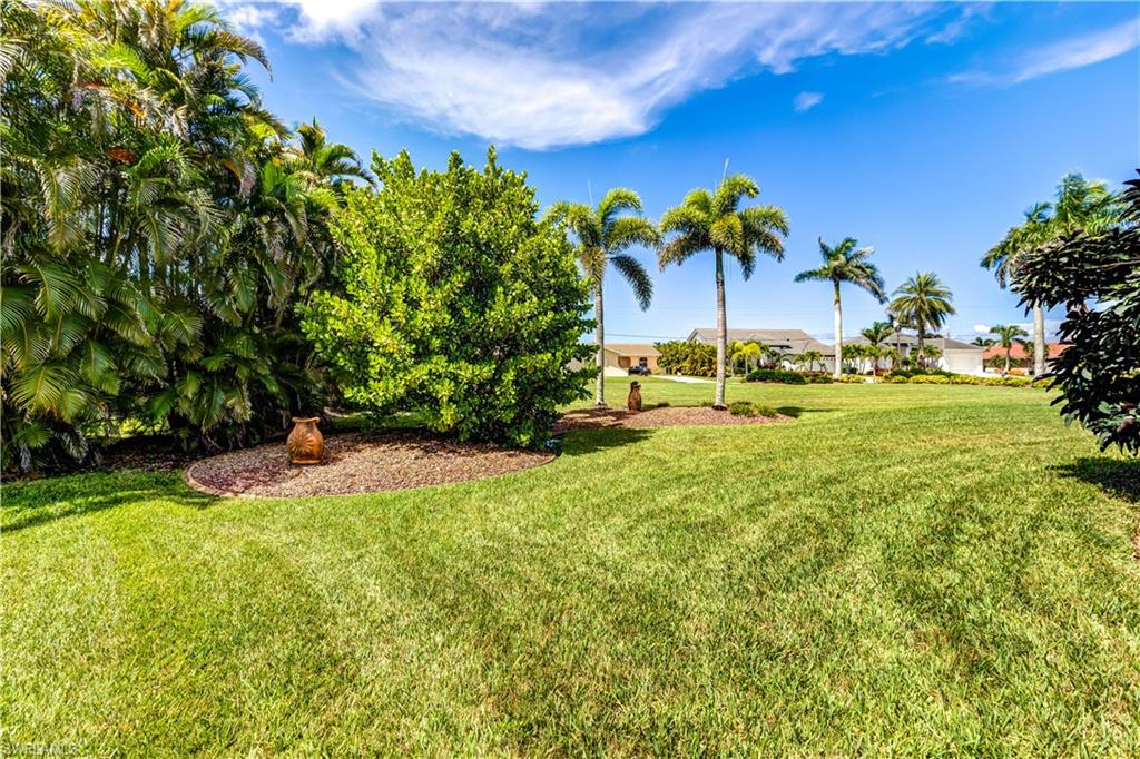 Beautiful yard
