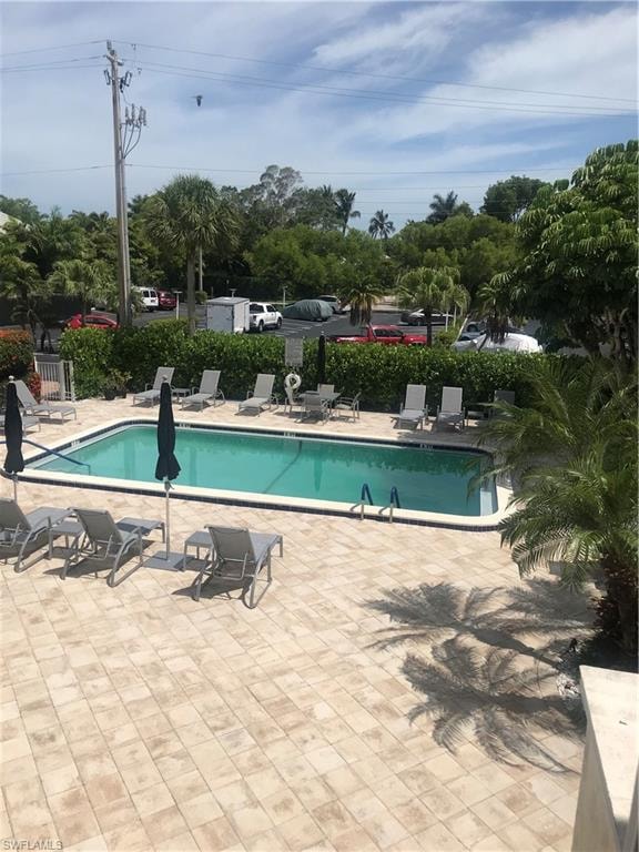 POOL DECK CHAIRS LANDSCAPE OF FLORIDA