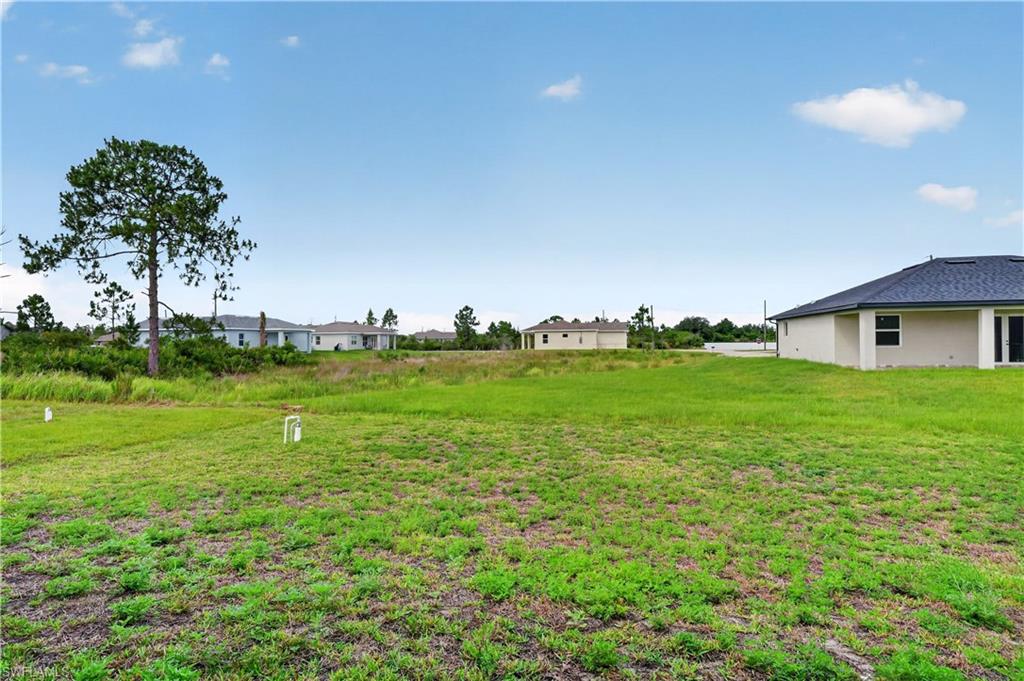 454 Mercedes CT photo 46