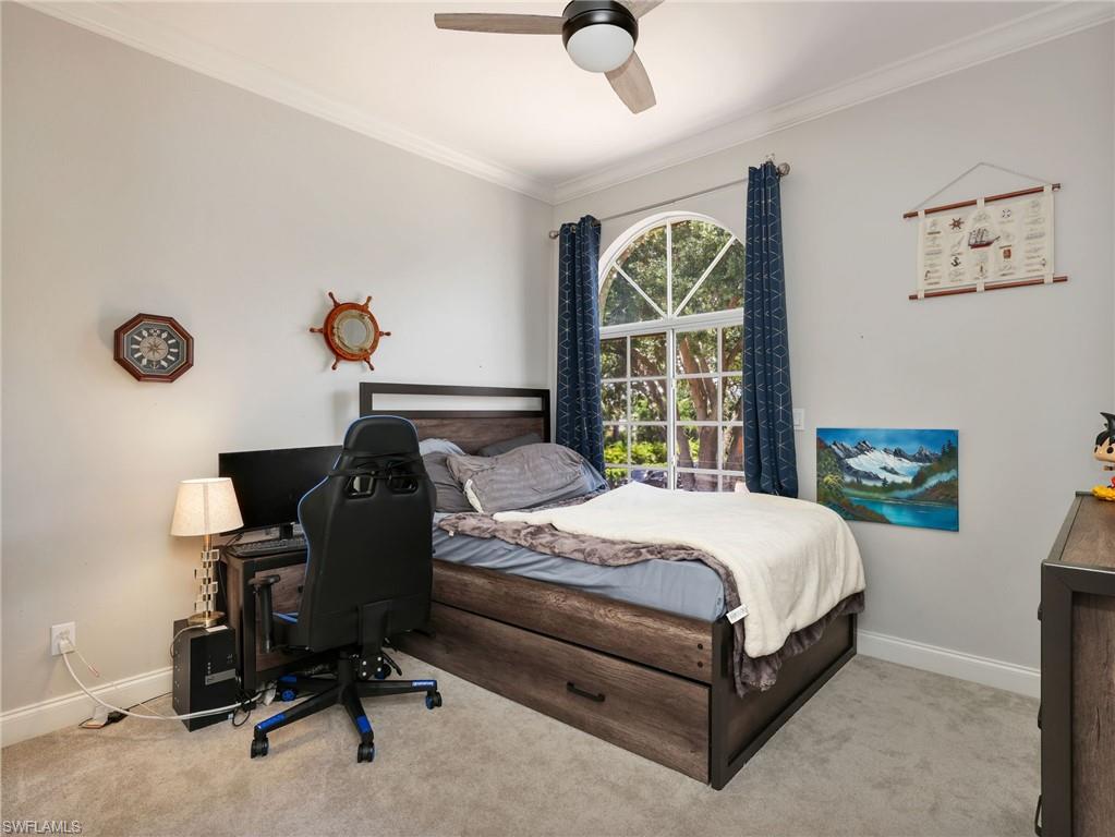 Arched window with gridded panes, crown molding, and a ceiling fan with light fixture