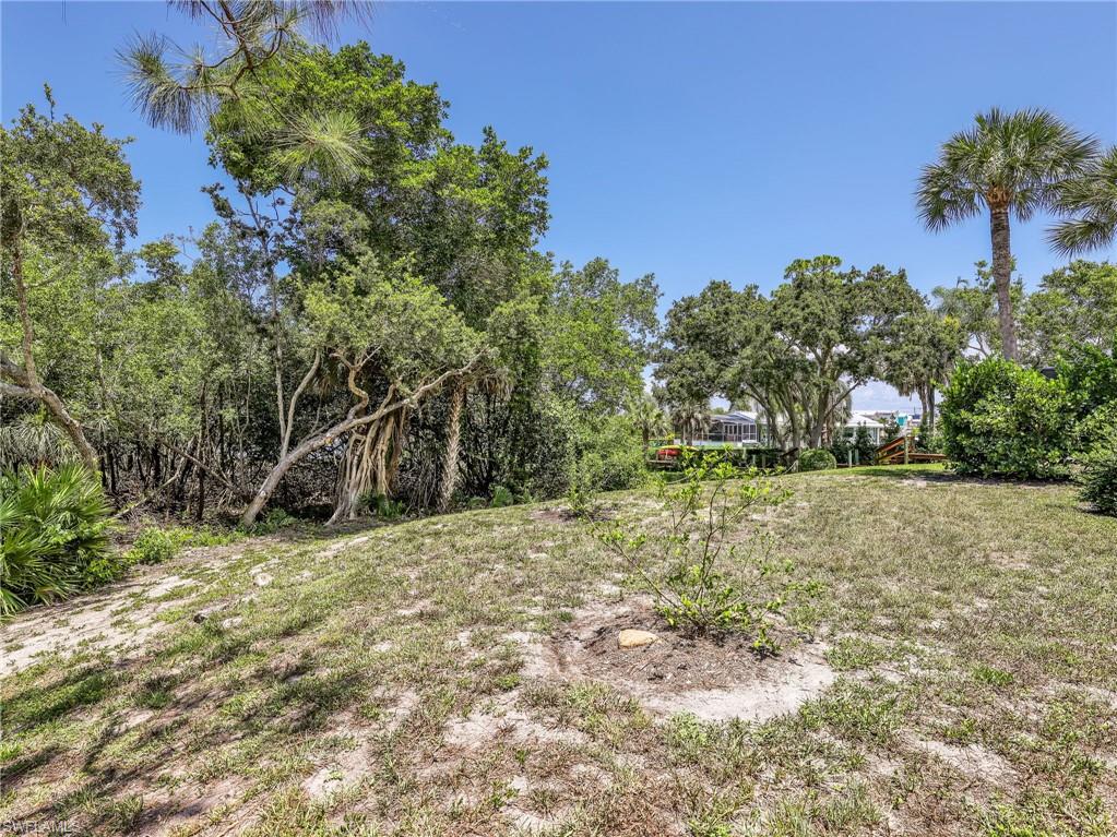 Expansive lot featuring a variety of mature trees and natural vegetation