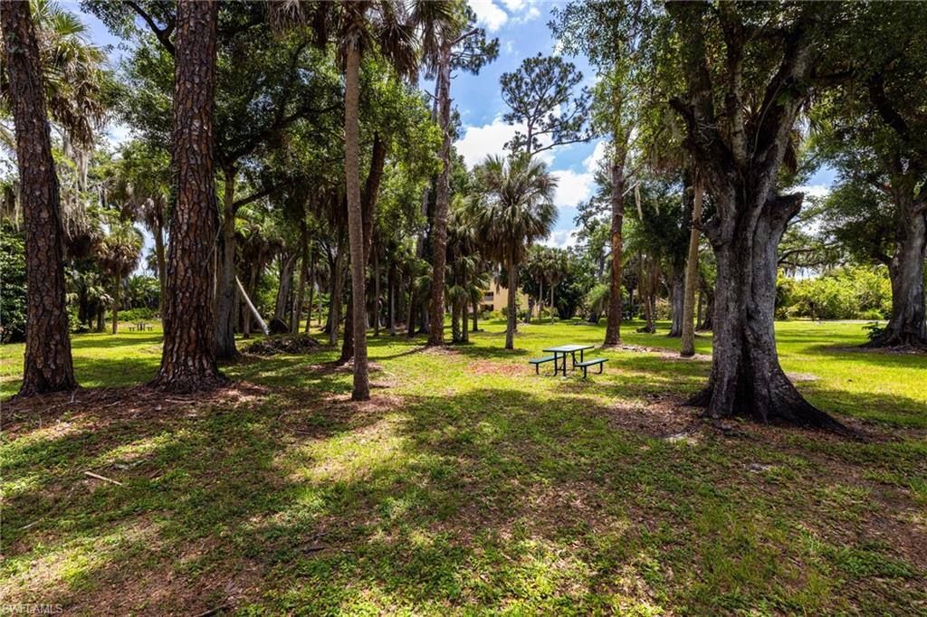 Nature picnic area. Definitely a place to relax and unwind.