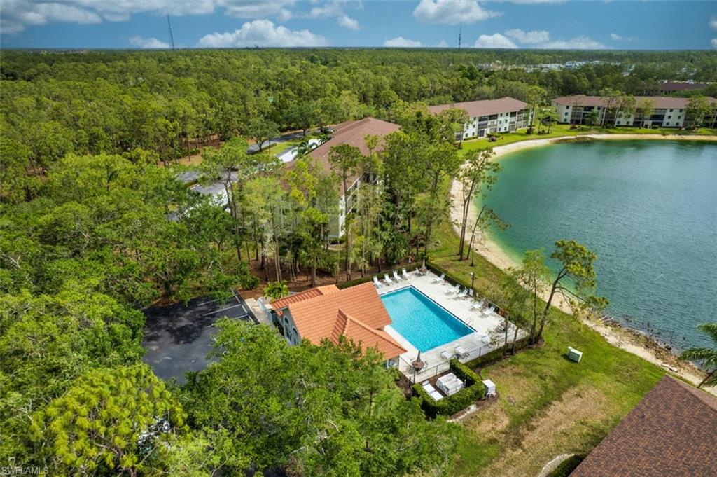 Aerial view of a forest, a pool, and a nearby body of water