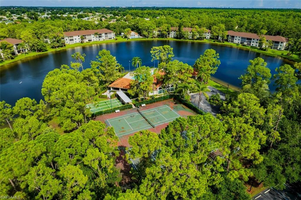 Bird's eye view of a forest and a nearby body of water