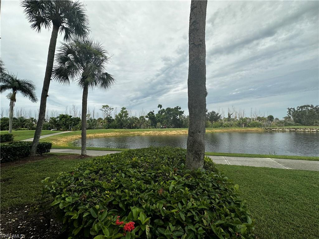 Water view