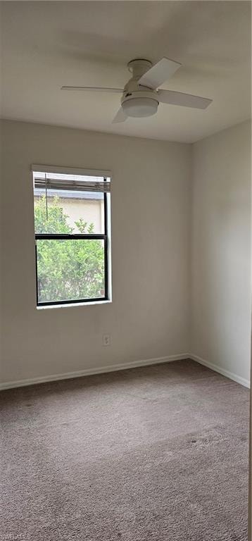 14312 Vindel CIR photo 12