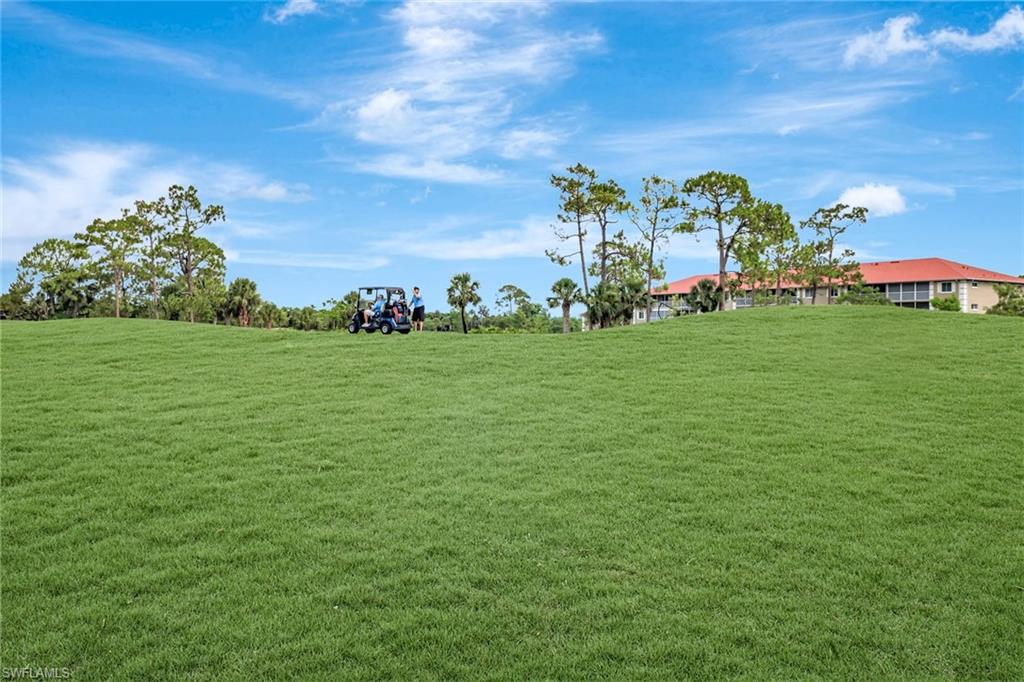 View of grassy yard