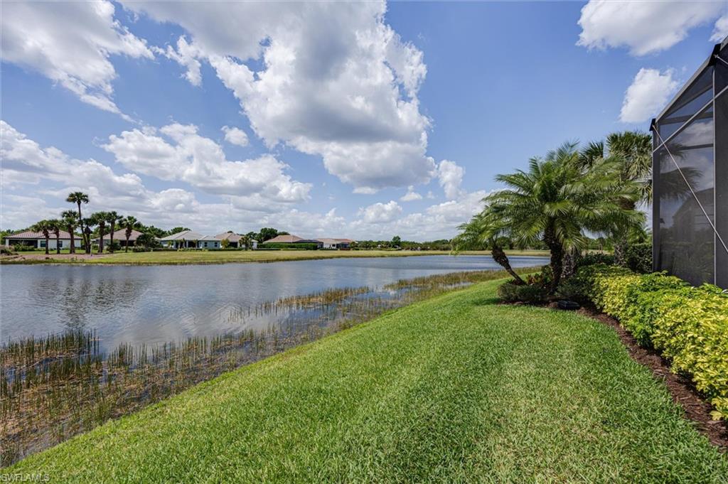 Expansive waterfront backyard featuring a screened enclosure, lush green lawn, mature palm trees, and established perimeter landscaping