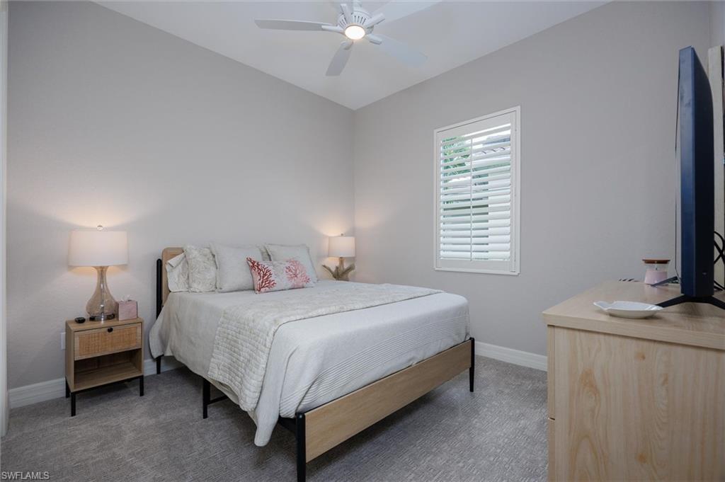 Carpeted room featuring a ceiling fan, window with white plantation shutters, and light gray wall paint