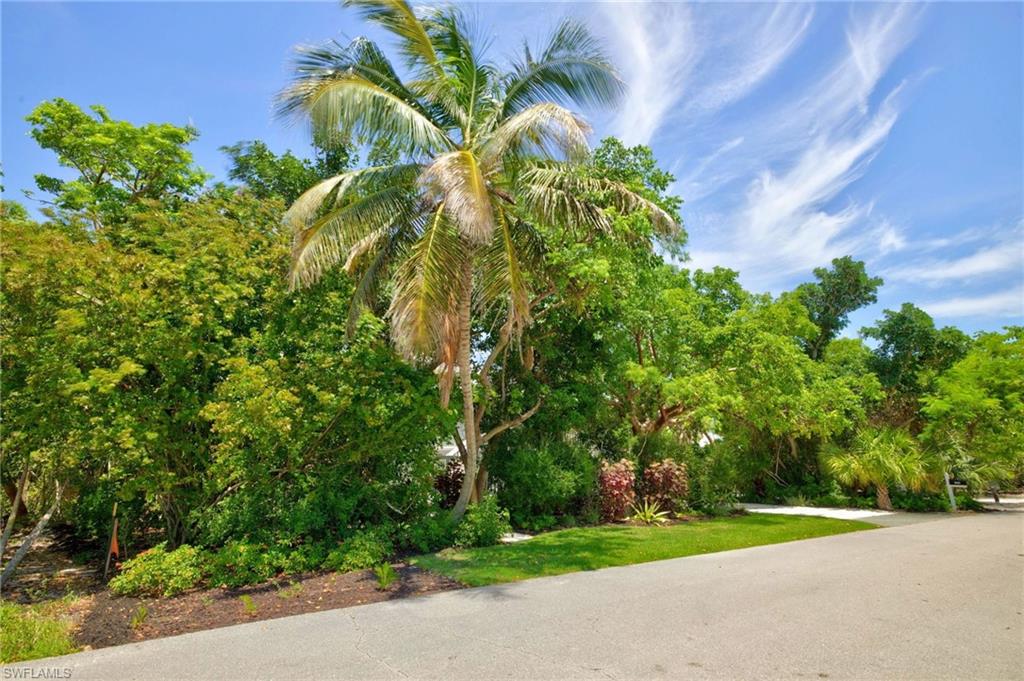 1986 Wild Lime DR