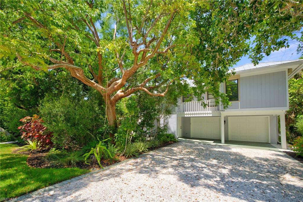 1986 Wild Lime DR