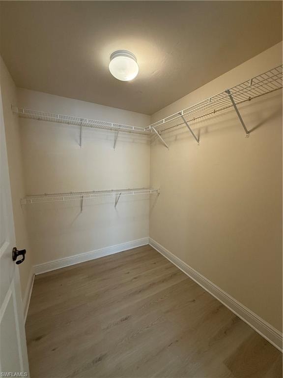 3968 Pomodoro CIR 202 photo 7