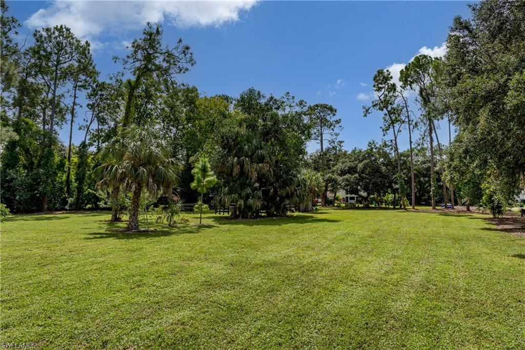 Expansive green lawn surrounded by mature trees, including tall pines and various palm species