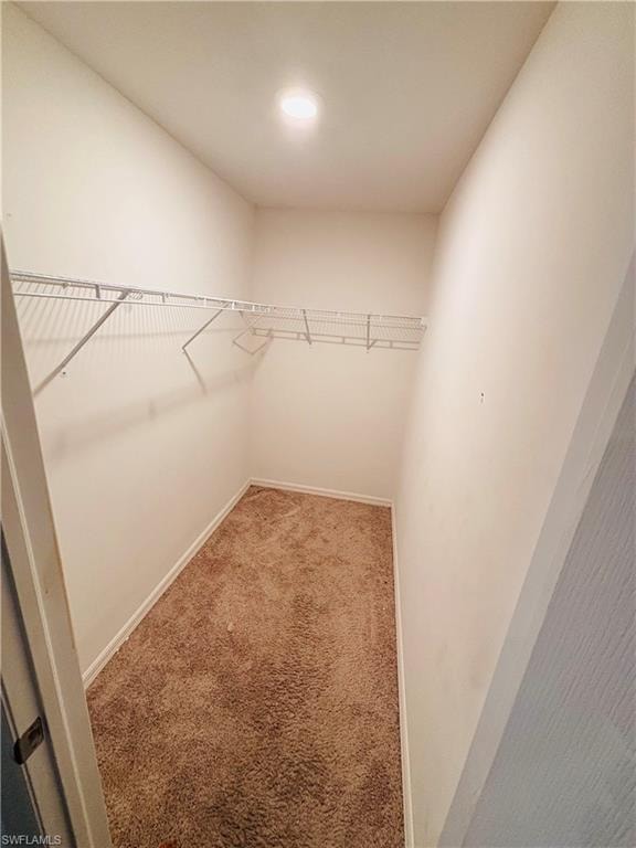 244 Loadstar ST photo 23