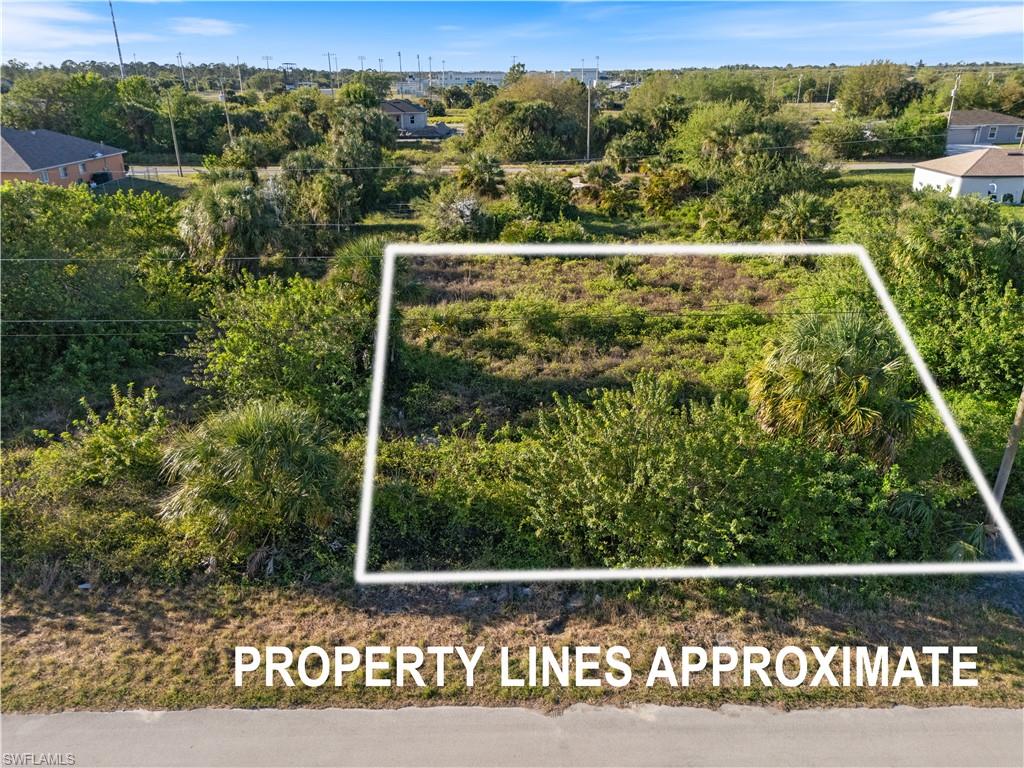 Expansive undeveloped lot featuring mature vegetation and natural ground cover