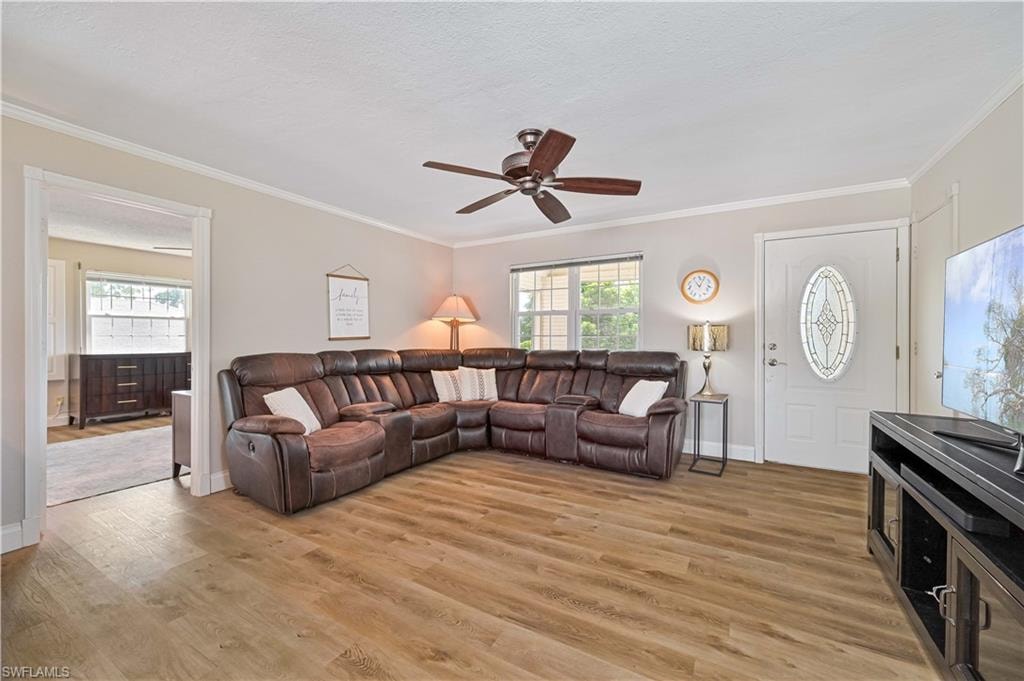 Wood-finish flooring throughout, white trim, and light gray wall paint