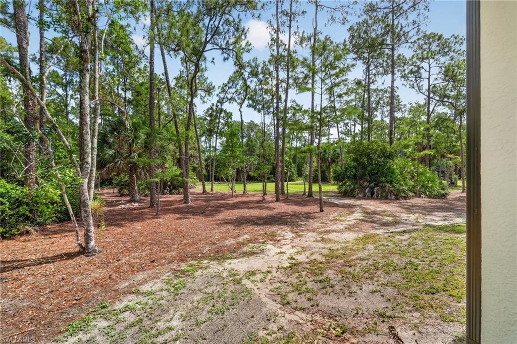 Expansive outdoor space featuring a mix of mature trees and open ground