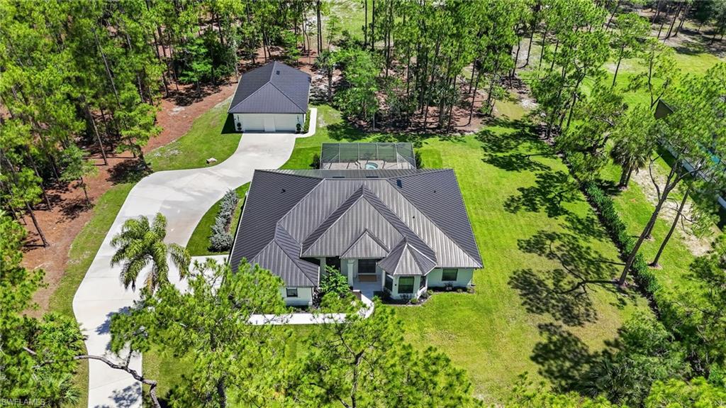 Expansive property featuring a contemporary home with a dark metal roof, a detached garage, a screened pool enclosure, a curved driveway, and abundant surrounding trees