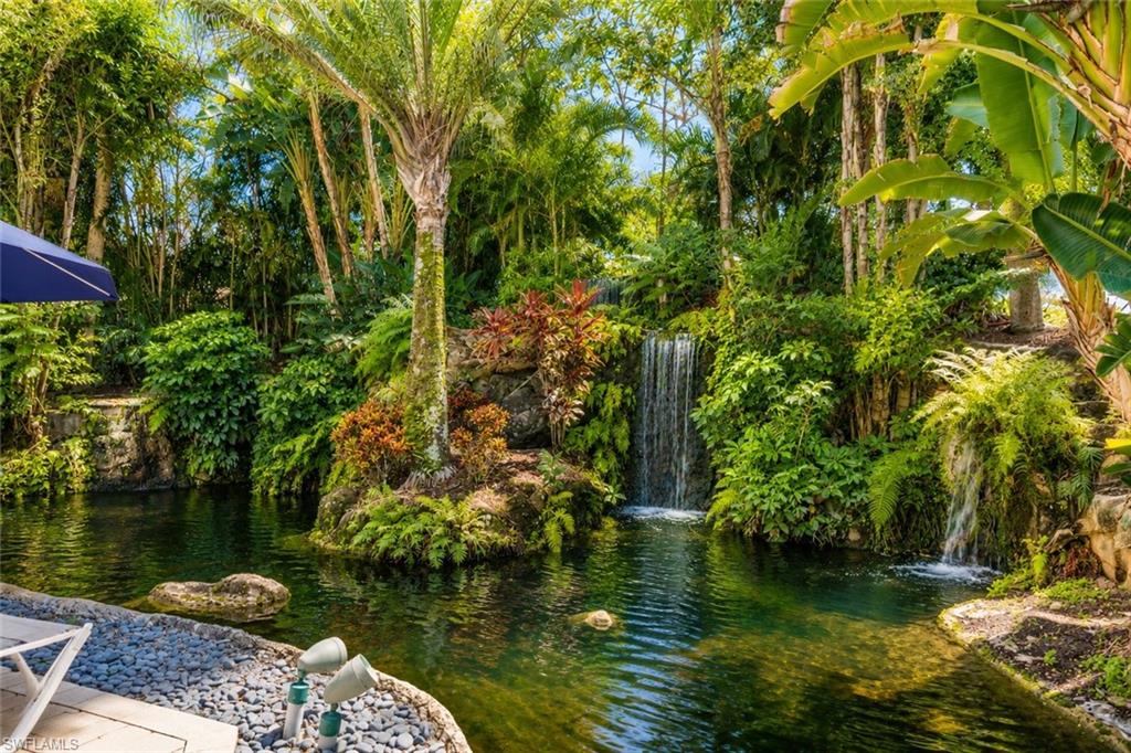 Waterfall & garden area