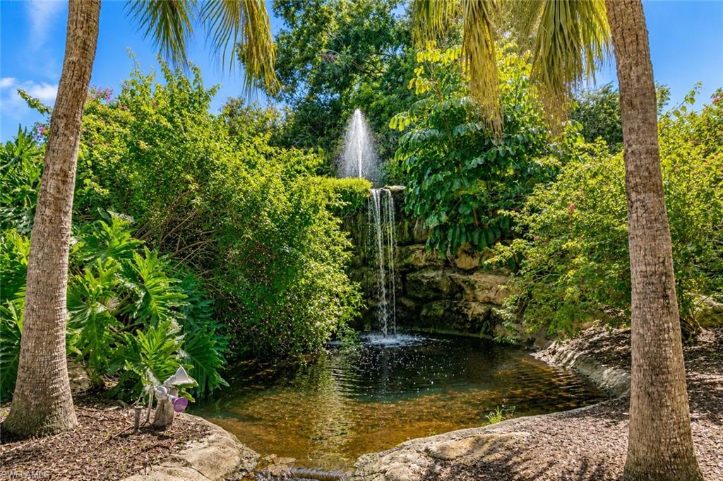 Waterfall & garden area