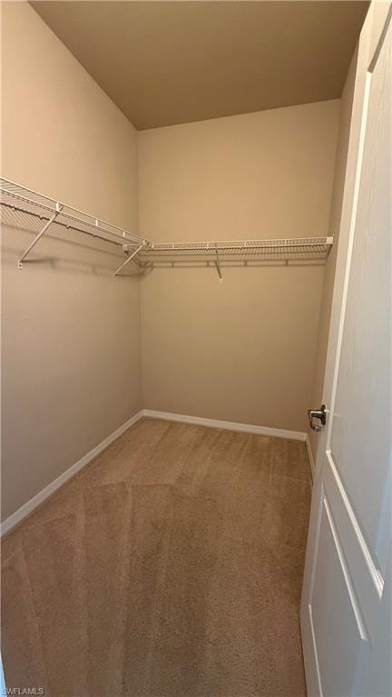 13561 Villa Di Preserve LN photo 13