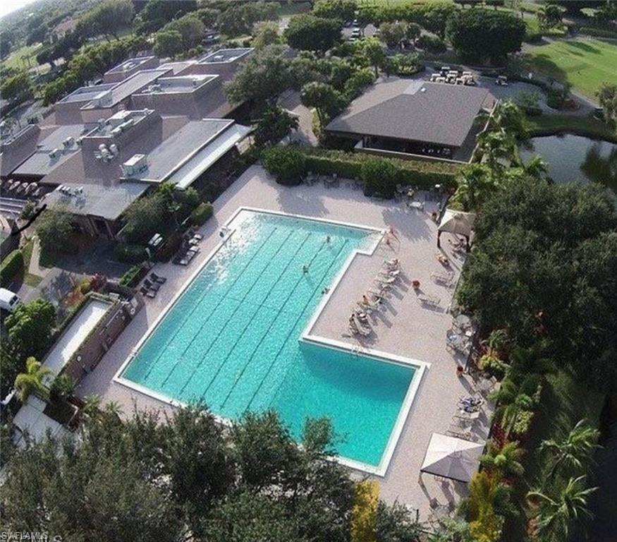 Main Pool