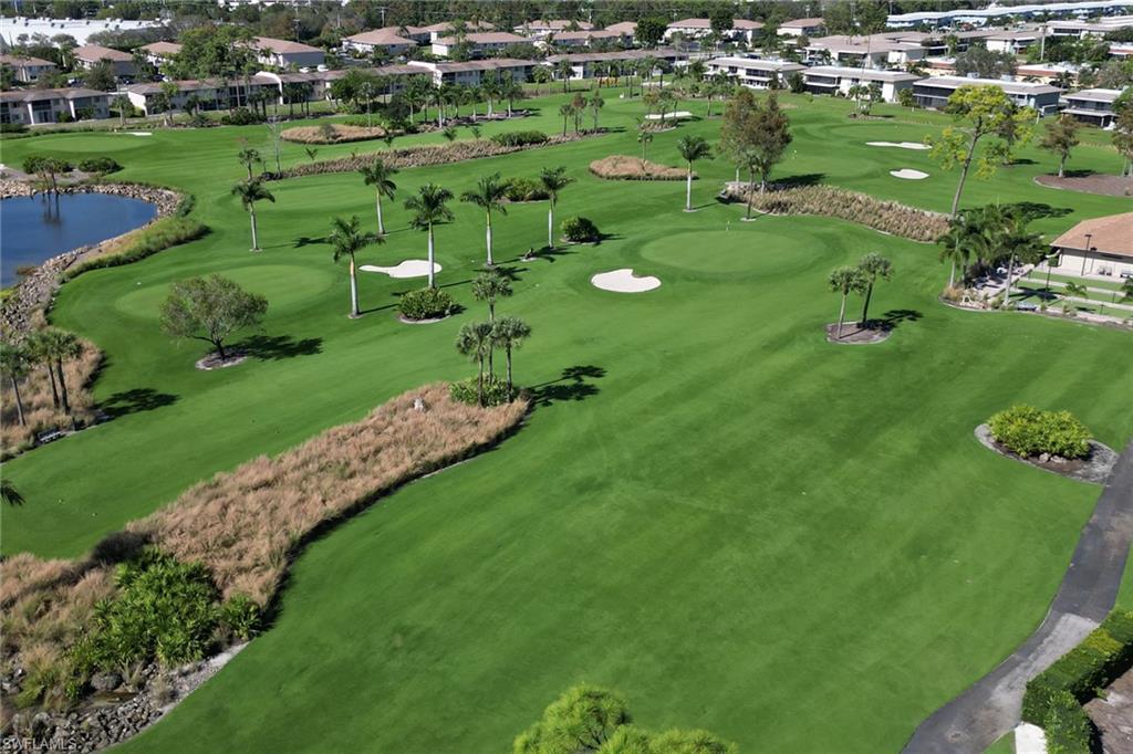 View of the Par 55 Palmetto Course
