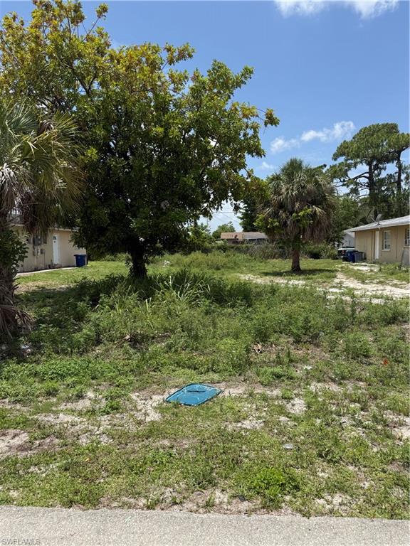 Cleared lot featuring mature trees and established vegetation