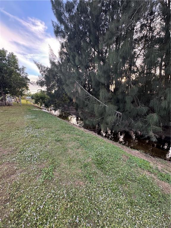 Expansive green space featuring a natural water element, mature pine trees, and additional landscape trees