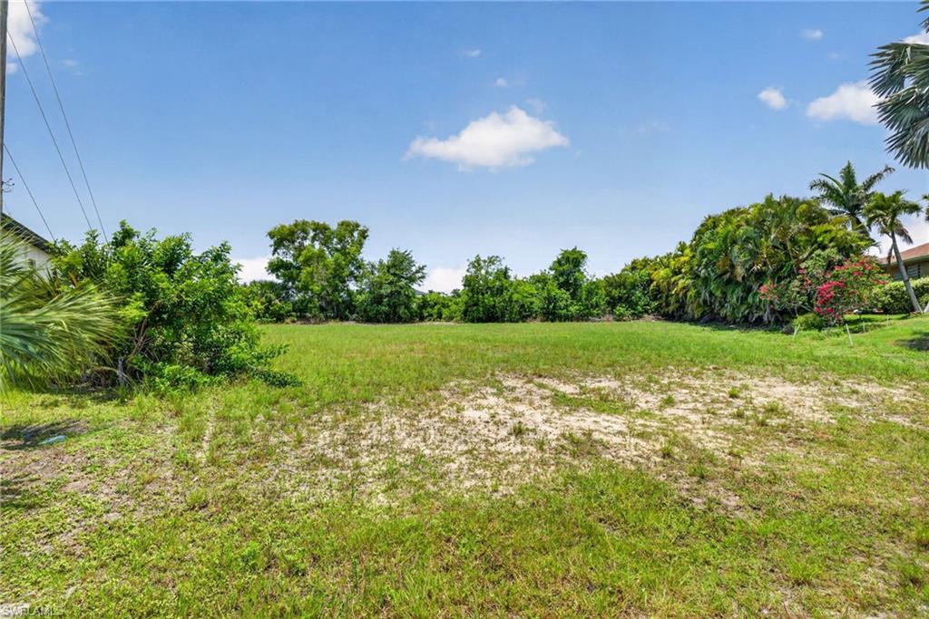 Expansive cleared lot featuring partial grass coverage and mature perimeter foliage
