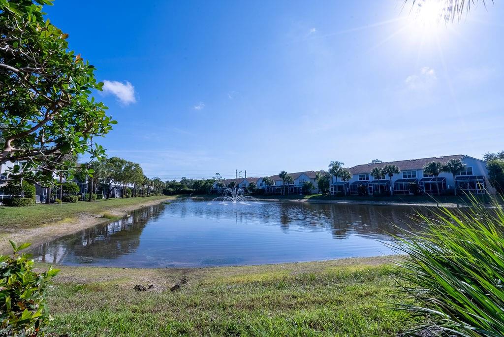 Water view