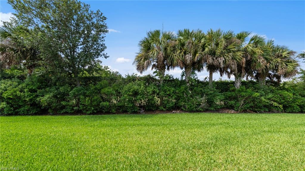 11544 Verandah Palm CT photo 33